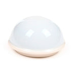 Foodiemals Boba Bubble Tea Mug med Lock 300ml