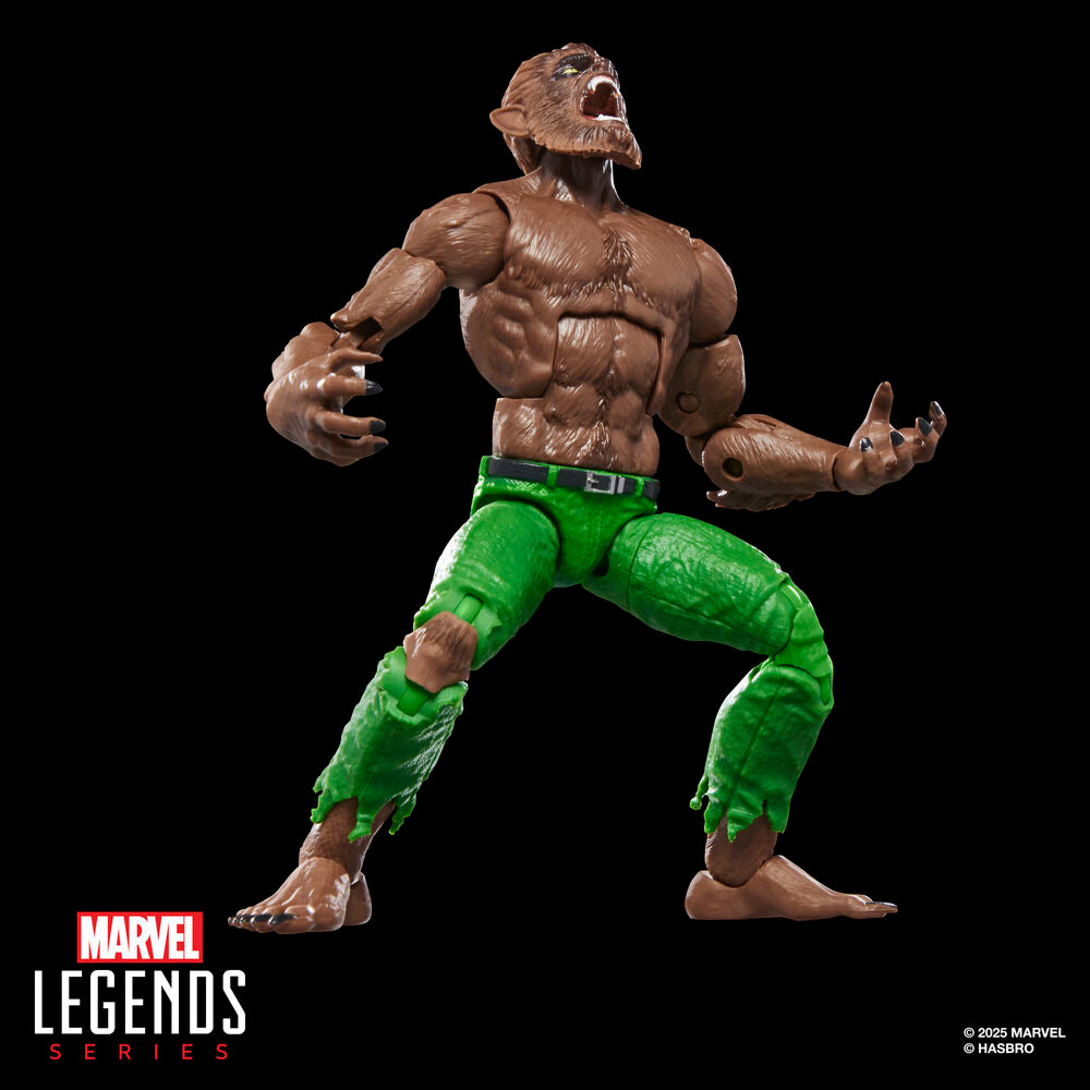 Marvel Legends Series Werewolf By Night Figur 15cm