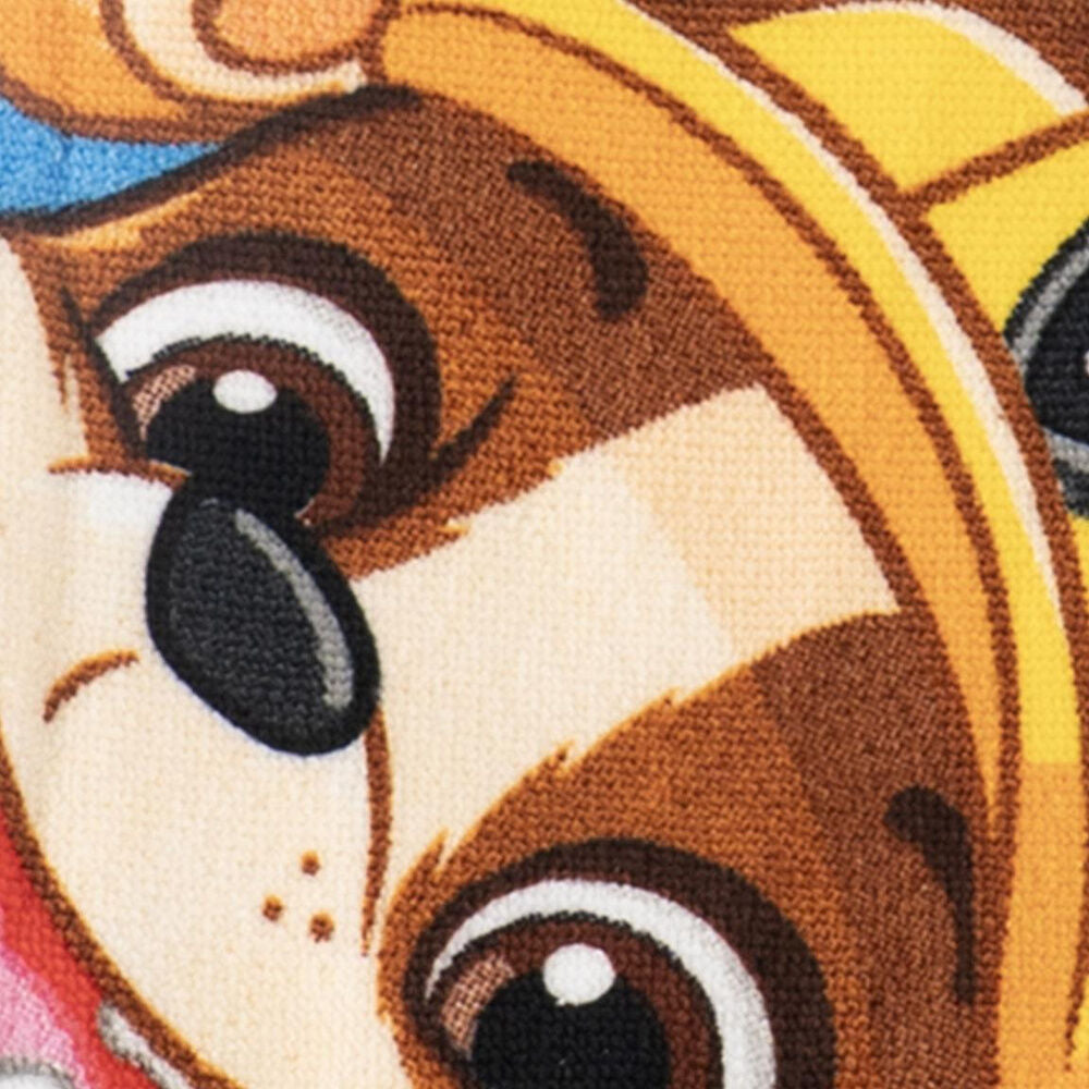 Paw Patrol Handduk och Simglasögon Set