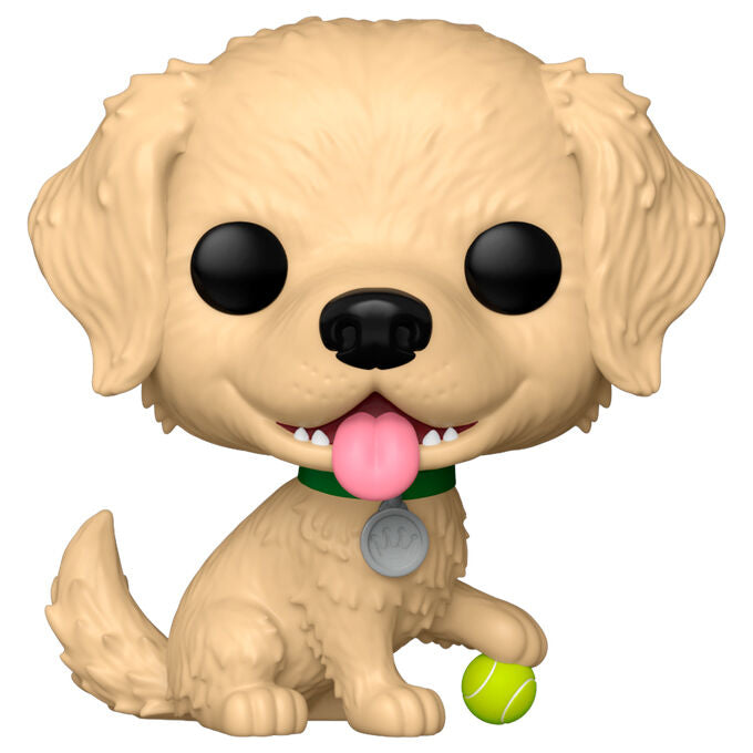 Funko POP Figur - Golden Retriever